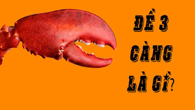 Bí quyết soi cầu đề 3 càng miền bắc